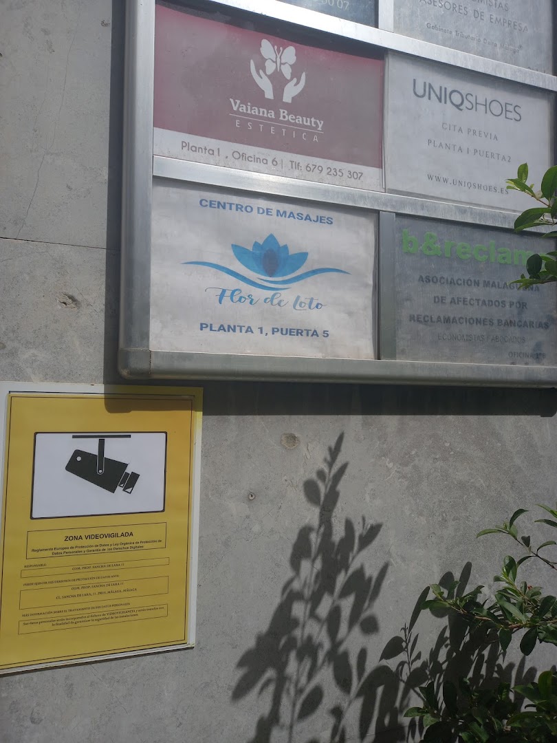 Lotus flower massages and wellness center Málaga Centro de masajes y bienestar Flor de Loto · Fotos 7